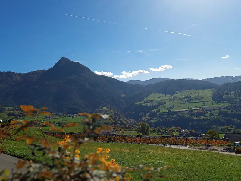 Blick über grüne Wiesen auf den Tschafon