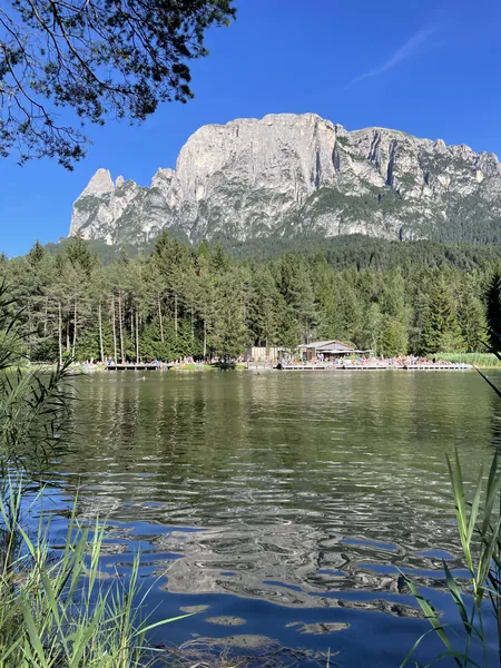 Der Völser Weiher im Wald, dahinter der Schlern